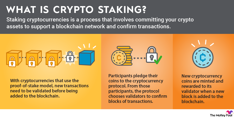 Introduction to Staking in Cryptocurrency: How It Works